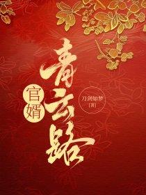官婿青云路 刀剑如梦