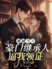 抢了豪门继承人