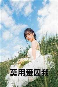 莫用爱囚我书名的