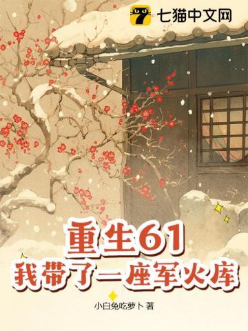 重生61,我带了一座军火库