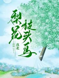 梨花枝头鸟